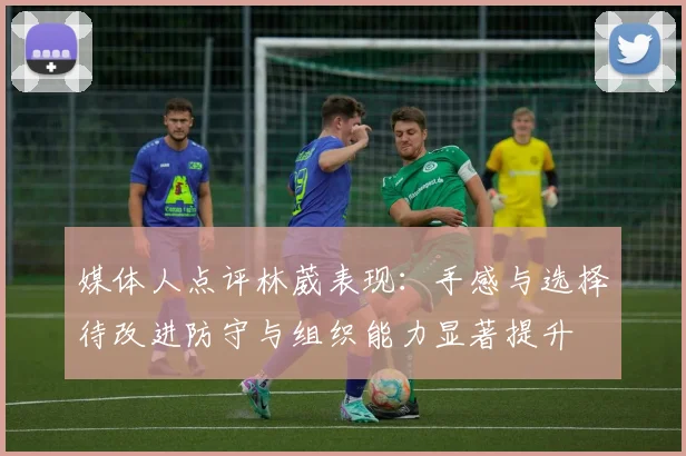 媒体人点评林葳表现：手感与选择待改进防守与组织能力显著提升