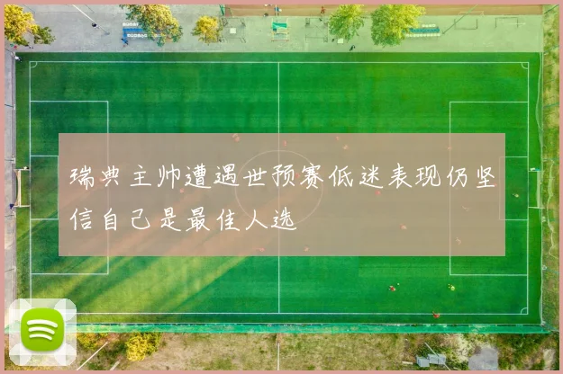瑞典主帅遭遇世预赛低迷表现仍坚信自己是最佳人选